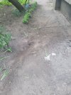 IMG_3228.jpeg