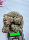 IMG_5335.jpeg