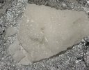 Session-Изображение_2025-06-17-162856 (1).jpeg