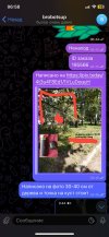 IMG_5679.jpeg