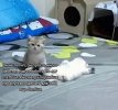 1758815379831.jpeg