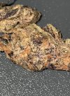 IMG_6939.jpg