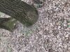 74947F4F-CBE7-4577-A405-ACC828B1DBDF.jpeg