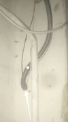 Screenshot_20210406-183143.png