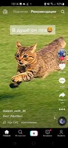 Screenshot_20210929-101433_TikTok.jpg