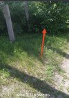 IMG_5613.jpeg