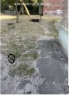 IMG_5611.jpeg