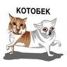Котобек