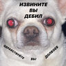 Jasosaljopy