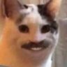 аagafia