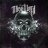 Metalhead_66